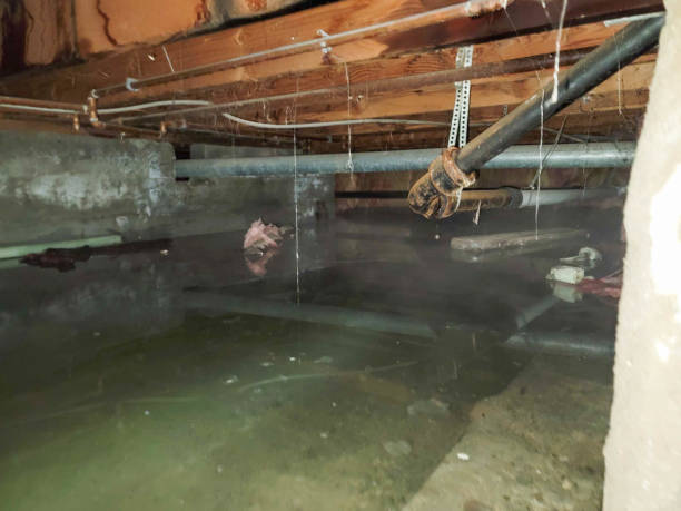 Trusted Meyers, CA Water damage restoration Experts