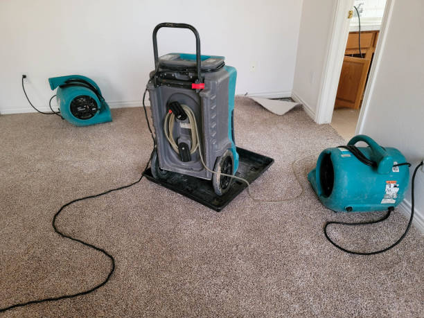 Best Flooded house restoration  in Meyers, CA