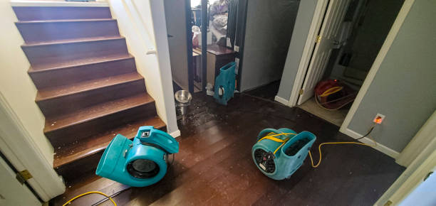 Best Water damage repair service  in Meyers, CA