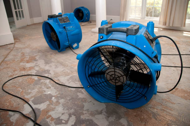 Fire Damage Restoration in Meyers, CA